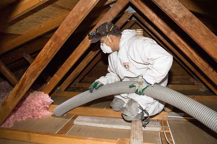 Insulation Removal